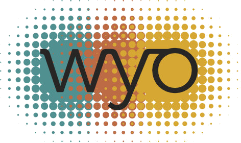 WYO — Wellington Youth Orchestra